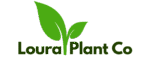 louraplantco.com